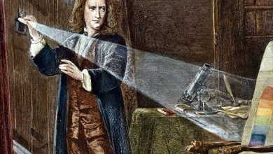 Isaac-Newton-isigin-kirilmasi-renk-cemberi-renk-carki-deneyi